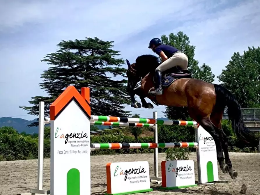 Immagine 3 di Terratetto in vendita  in PIAZZA DANTE ALIGHIERI a Borgo San Lorenzo