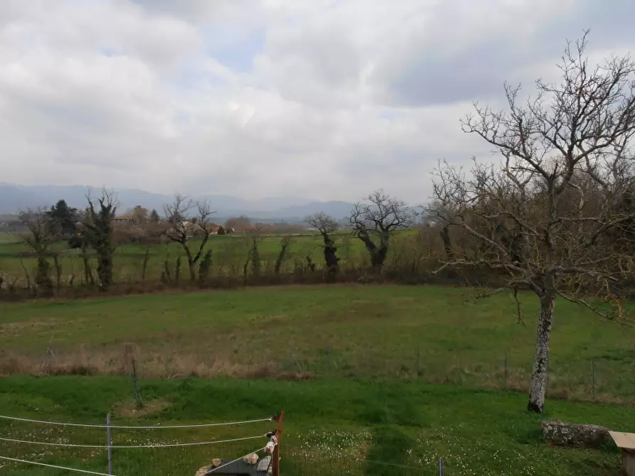 Immagine 4 di Appartamento in vendita  a Borgo San Lorenzo