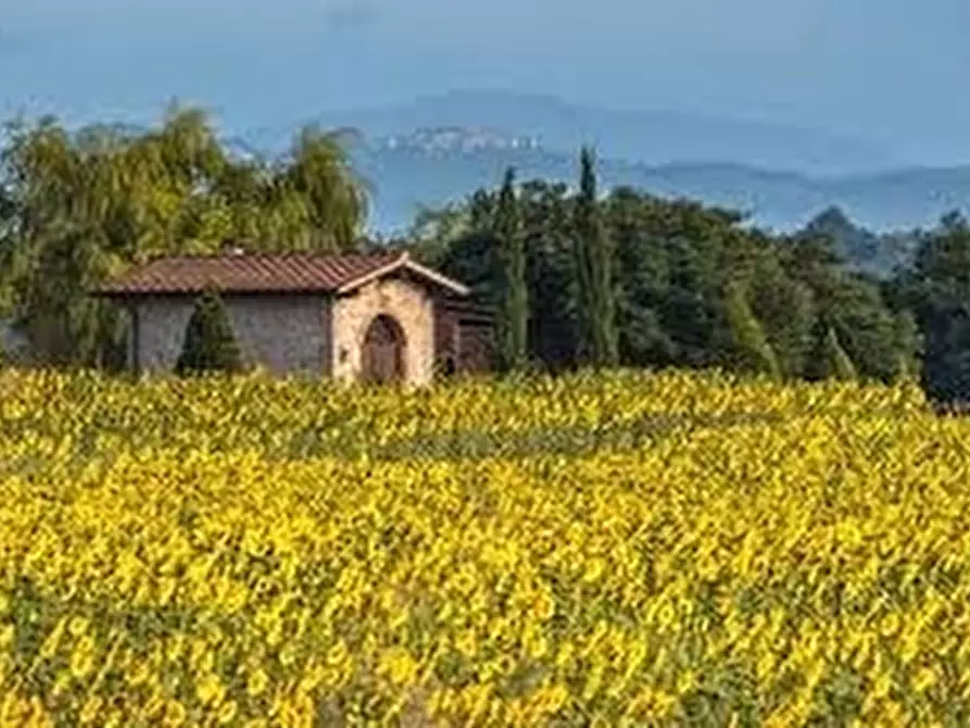 Immagine 2 di Casa colonica in vendita  in PIAZZA DANTE ALIGHIERI a Borgo San Lorenzo