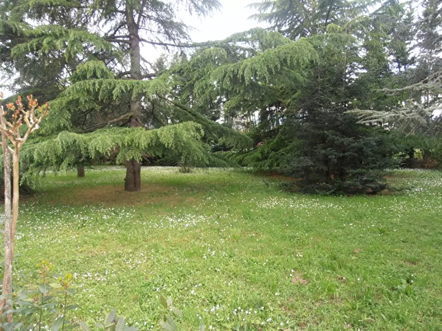 Immagine 4 di Albergo/B&B/Residence in vendita  a Firenze