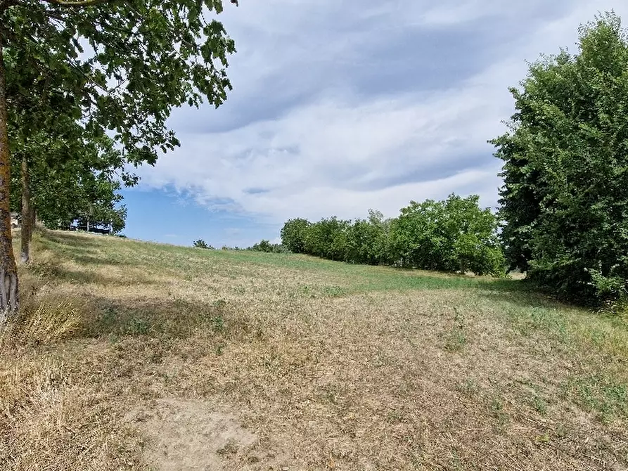 Immagine 2 di Terreno residenziale in vendita  in VIA a Montese