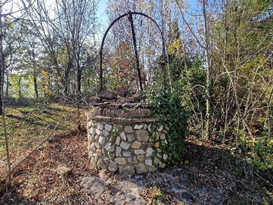 Immagine 6 di Rustico / casale in vendita  in Via a Valsamoggia