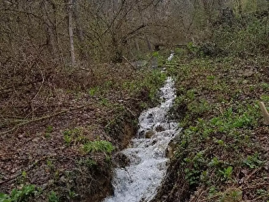 Immagine 2 di Rustico / casale in vendita  in VIA a Zocca