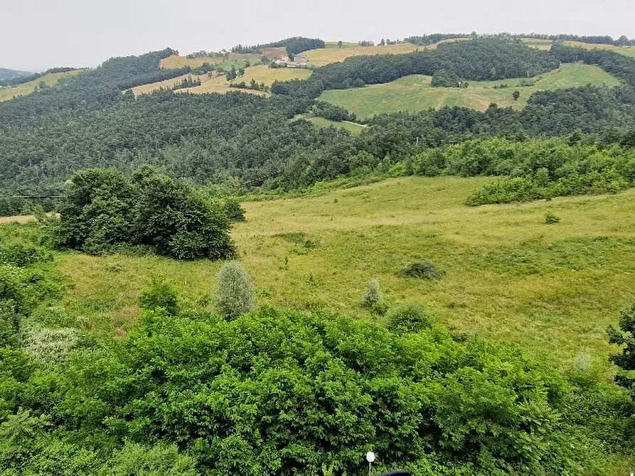 Immagine 1 di Terreno agricolo in vendita  in VIA a Zocca