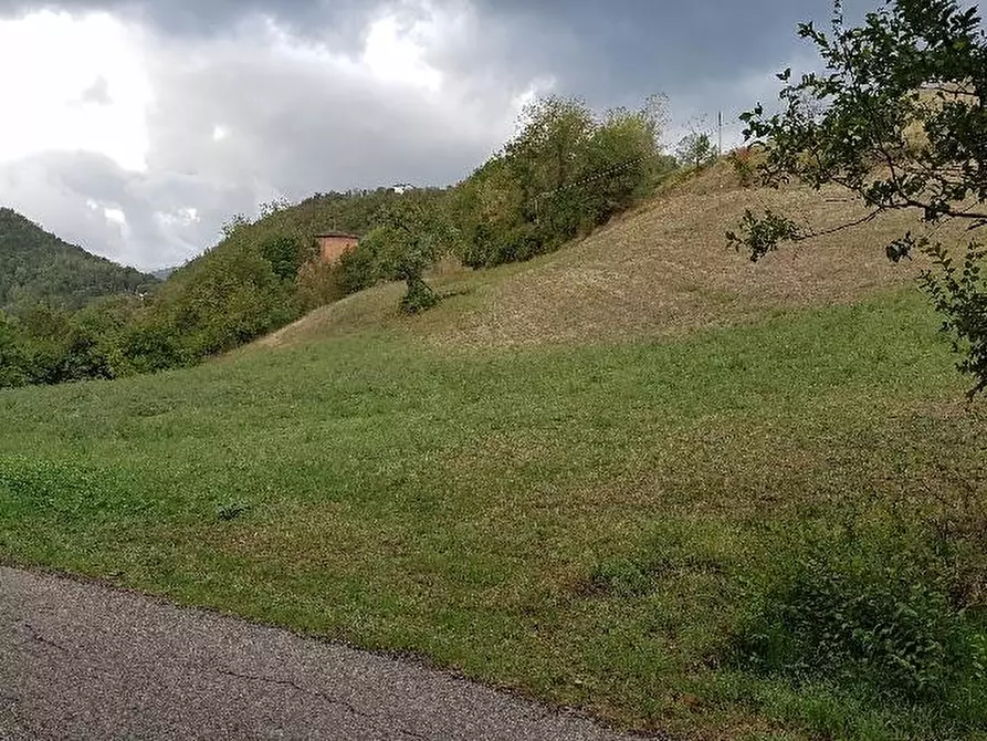 Immagine 3 di Terreno residenziale in vendita  a Montese