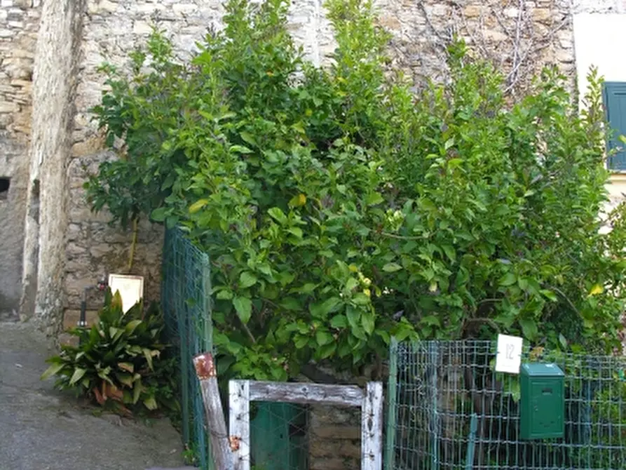 Immagine 3 di Rustico / casale in vendita  a Villa Faraldi