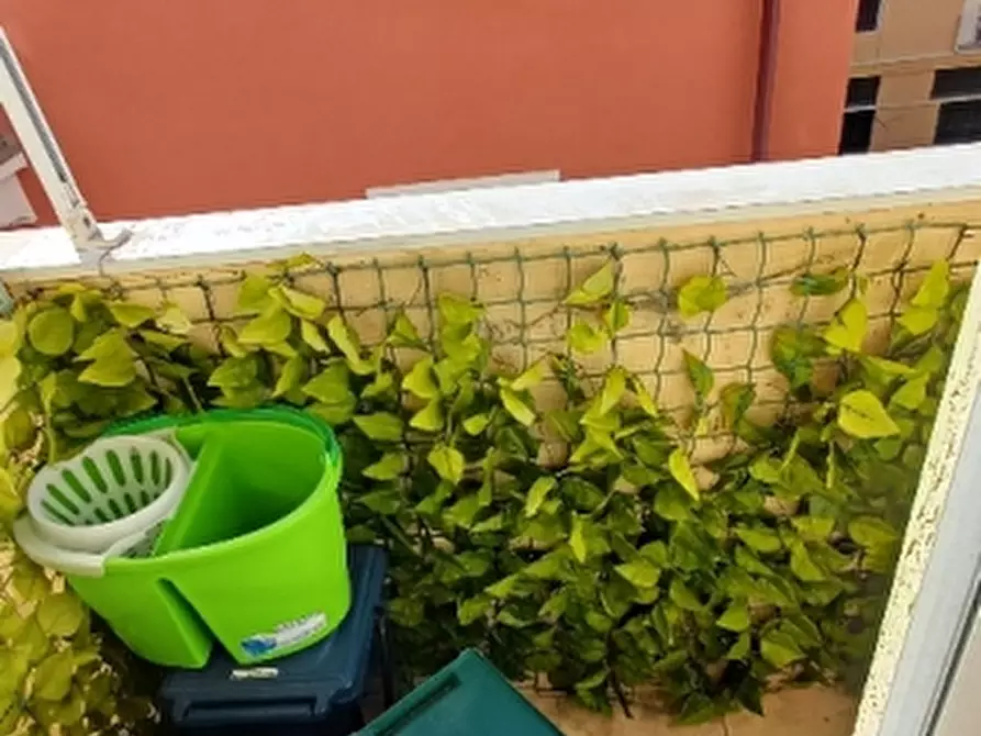 Immagine 8 di Appartamento in vendita  in vico chiusetta a Alassio