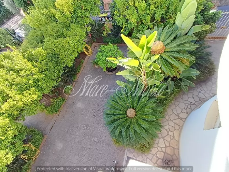 Immagine 3 di Villa in vendita  in viale sant'erasmo 1 a Alassio