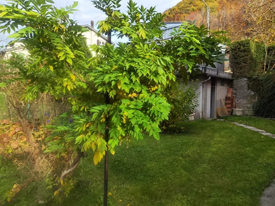 Immagine 17 di Casa indipendente in vendita  a Garessio