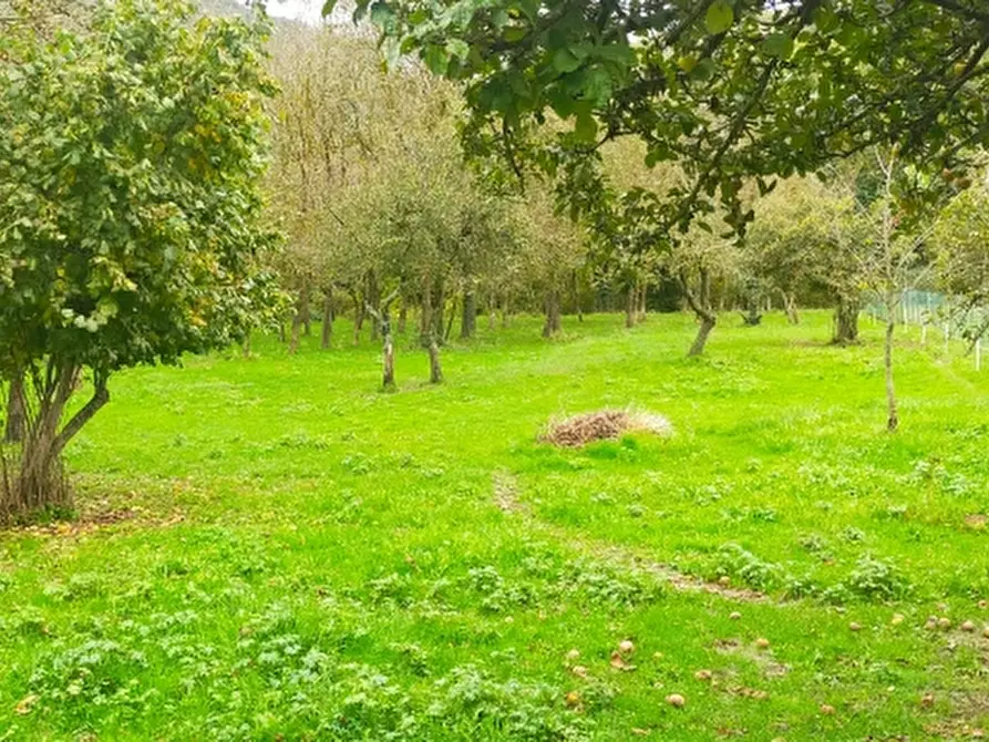 Immagine 13 di Appartamento in vendita  a Garessio