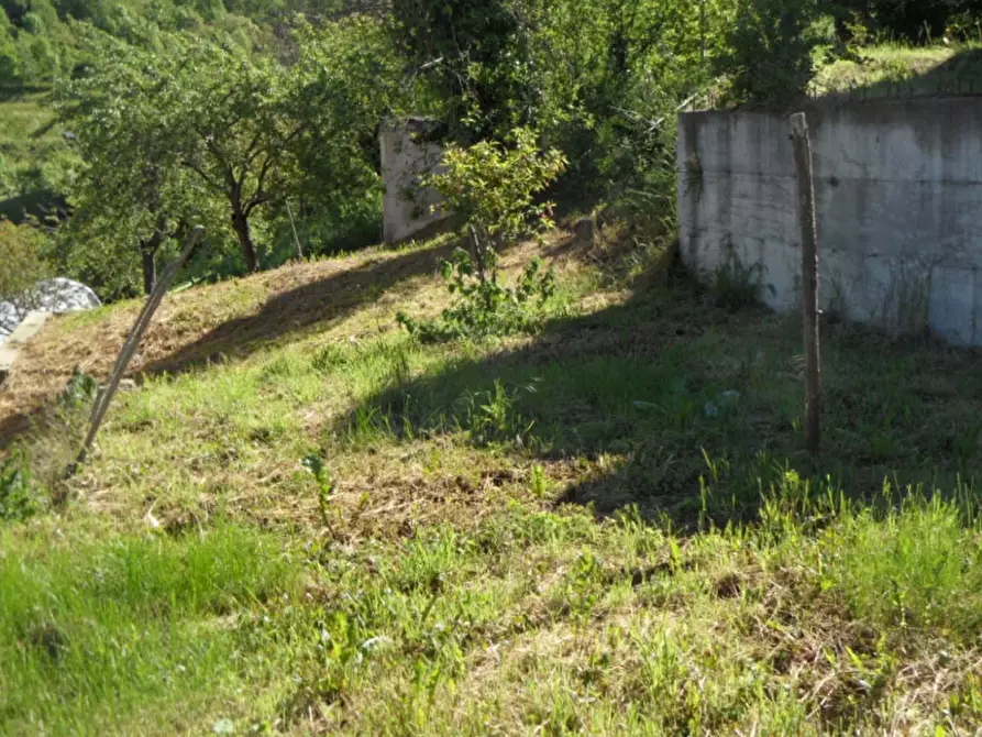 Immagine 17 di Rustico / casale in vendita  a Garessio