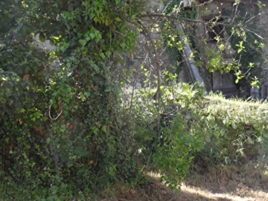 Immagine 19 di Rustico / casale in vendita  a Garessio