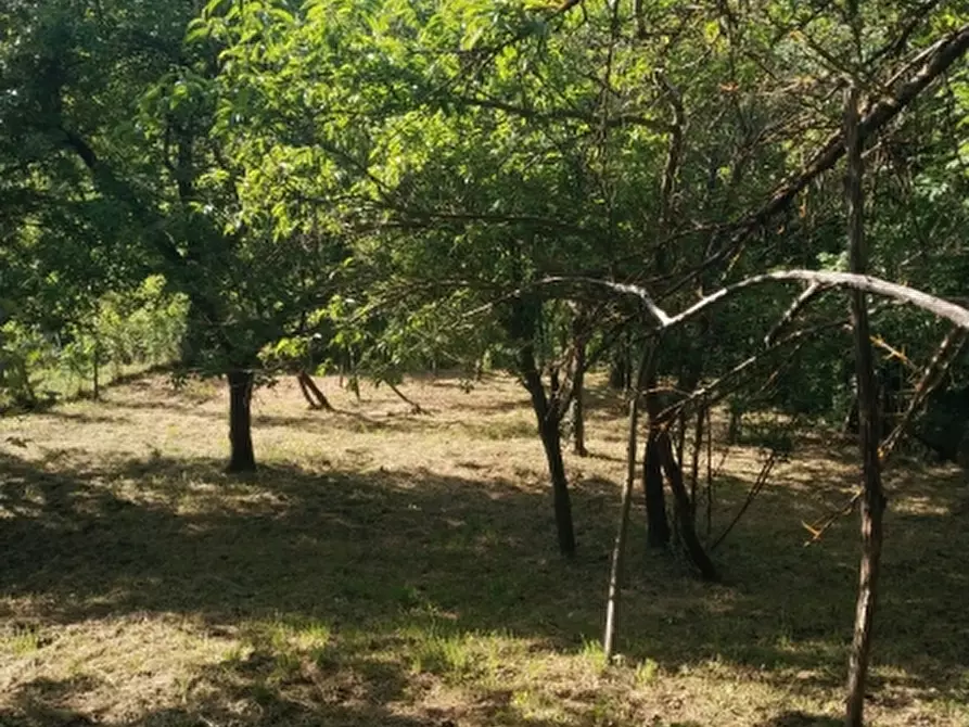 Immagine 20 di Terratetto in vendita  a Garessio