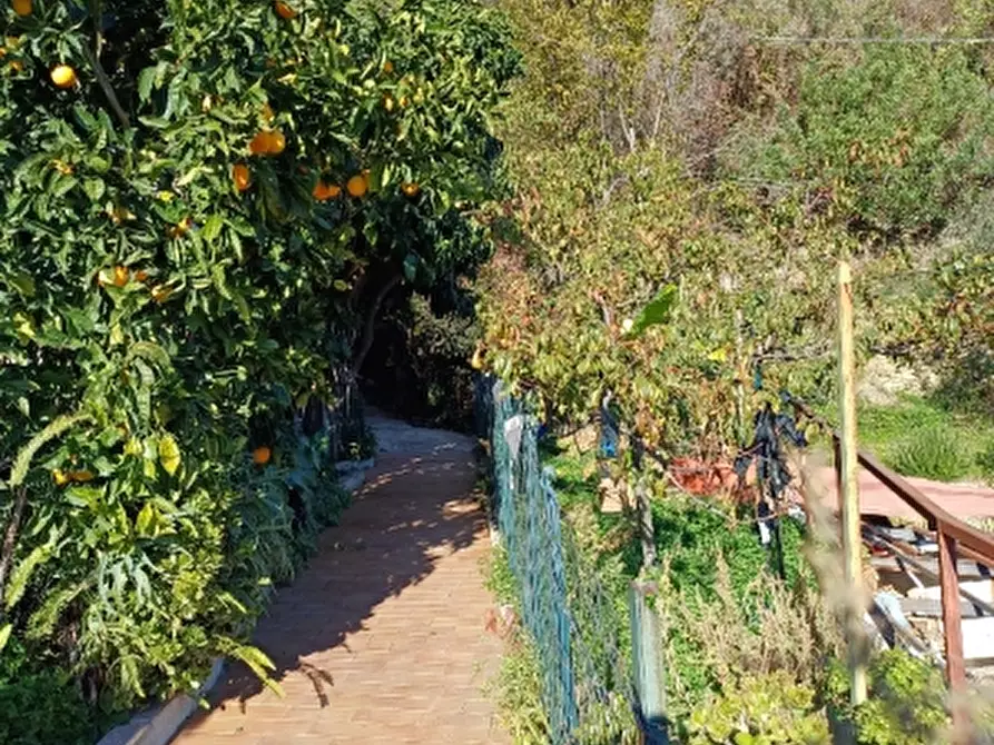 Immagine 21 di Villa in vendita  a Alassio