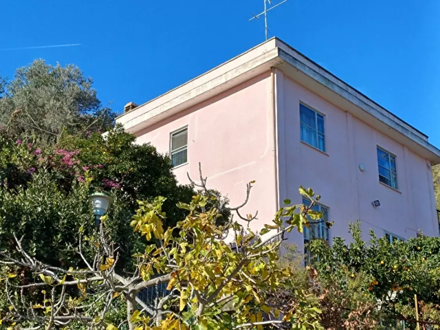 Immagine 23 di Villa in vendita  a Alassio