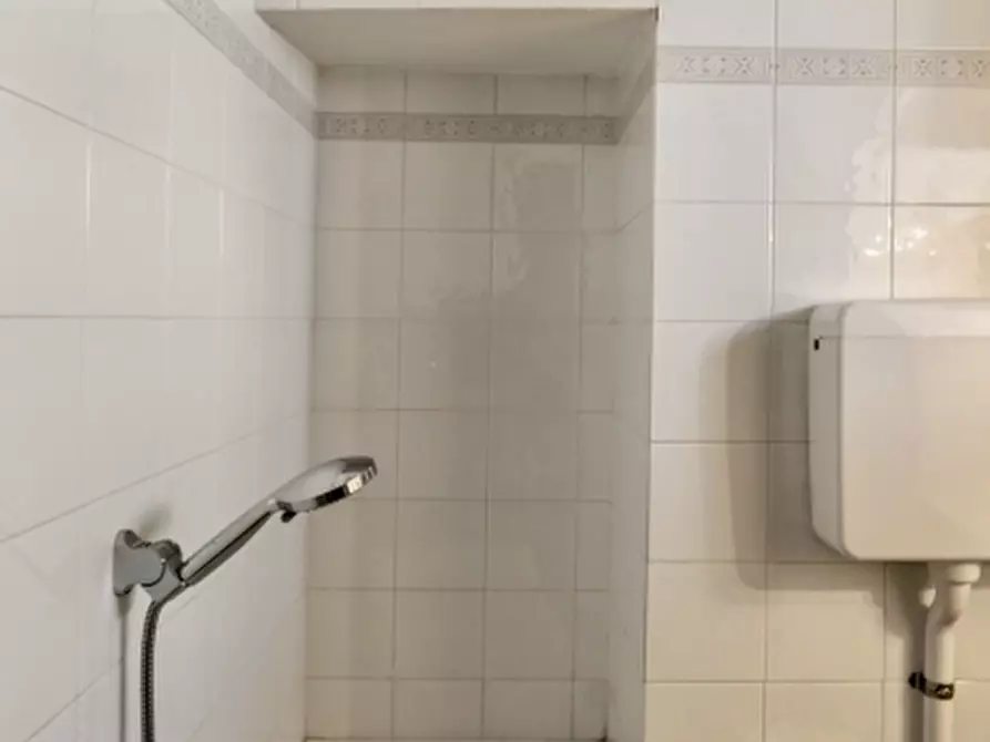 Immagine 10 di Appartamento in affitto  a Alassio