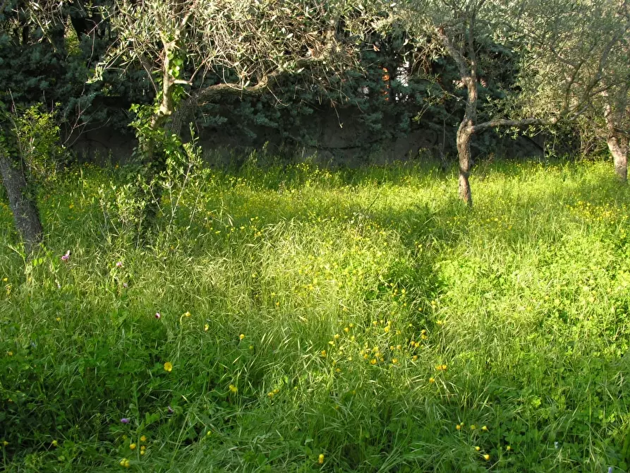 Immagine 2 di Terreno residenziale in vendita  a Villa Faraldi