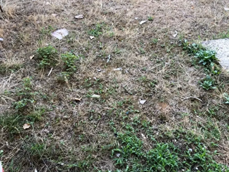 Immagine 17 di Appartamento in vendita  in san piero a sieve a Scarperia E San Piero