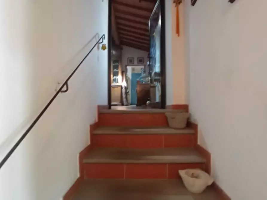 Immagine 17 di Rustico / casale in vendita  in barberino di mugello a Barberino Di Mugello