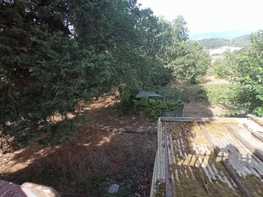 Immagine 18 di Rustico / casale in vendita  in barberino di mugello a Barberino Di Mugello