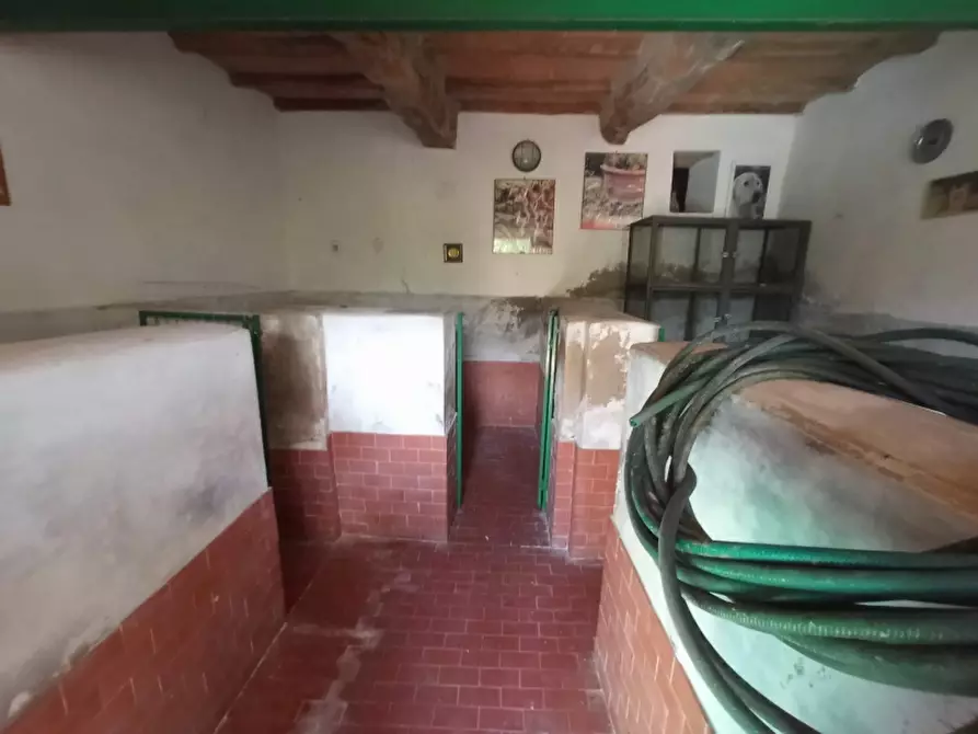 Immagine 30 di Rustico / casale in vendita  in barberino di mugello a Barberino Di Mugello