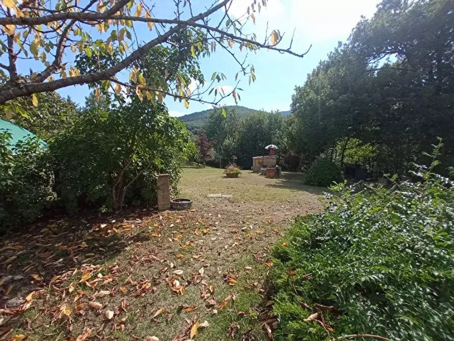 Immagine 34 di Rustico / casale in vendita  in barberino di mugello a Barberino Di Mugello