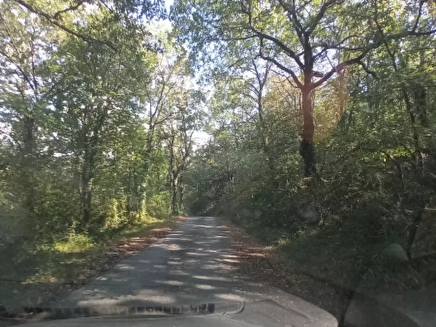 Immagine 5 di Rustico / casale in vendita  in barberino di mugello a Barberino Di Mugello