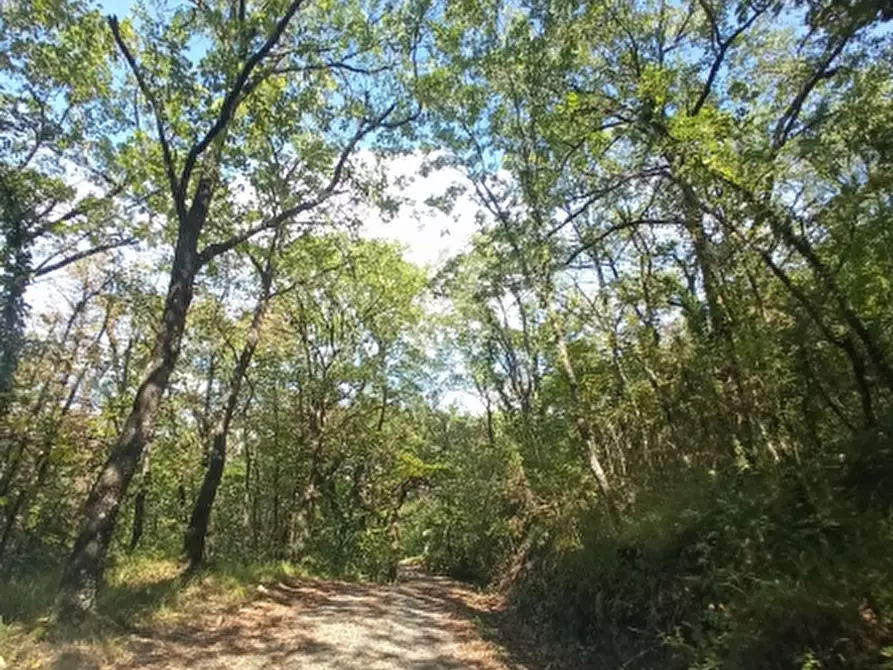 Immagine 8 di Rustico / casale in vendita  in barberino di mugello a Barberino Di Mugello