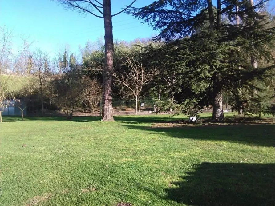 Immagine 4 di Villa in vendita  in via sagginalese a Vicchio