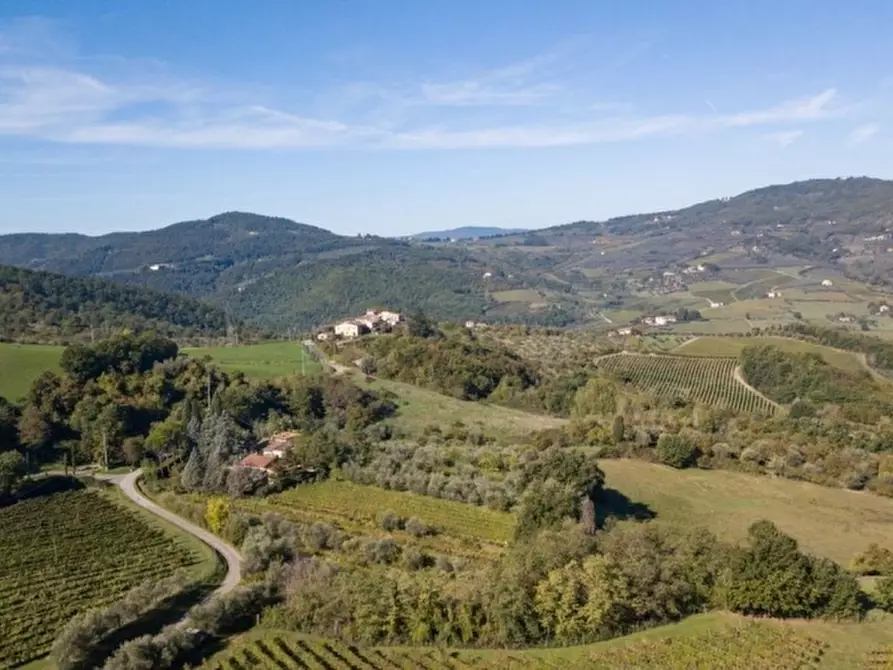 Immagine 9 di Azienda agricola in vendita  in RUFINA a Rufina