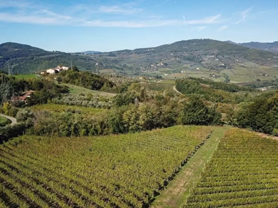 Immagine 11 di Azienda agricola in vendita  in RUFINA a Rufina