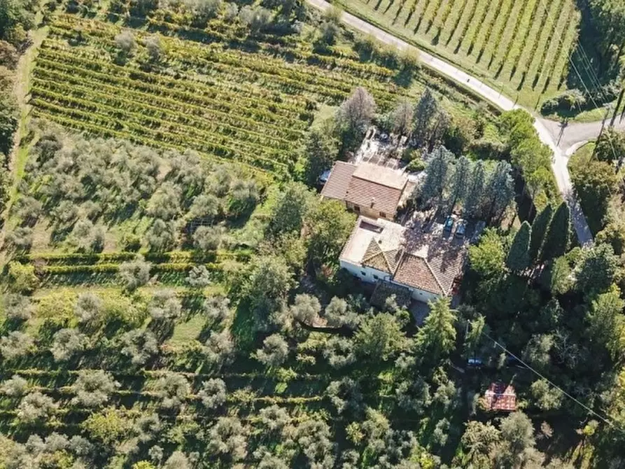 Immagine 12 di Azienda agricola in vendita  in RUFINA a Rufina