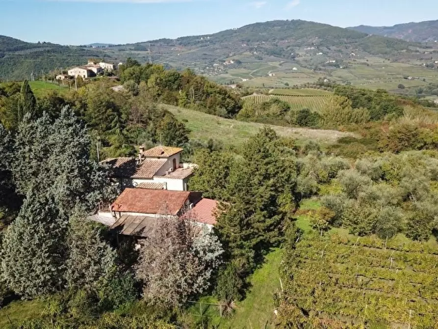 Immagine 5 di Azienda agricola in vendita  in RUFINA a Rufina