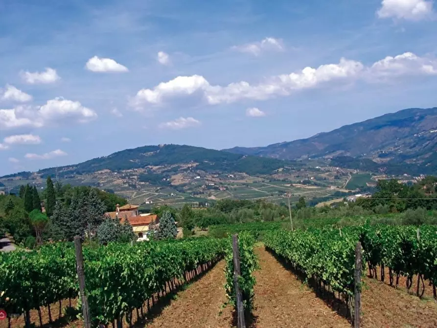 Immagine 6 di Azienda agricola in vendita  in RUFINA a Rufina