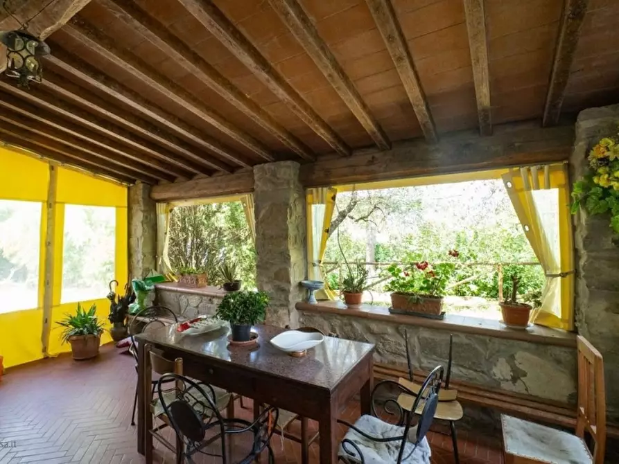 Immagine 8 di Azienda agricola in vendita  in RUFINA a Rufina