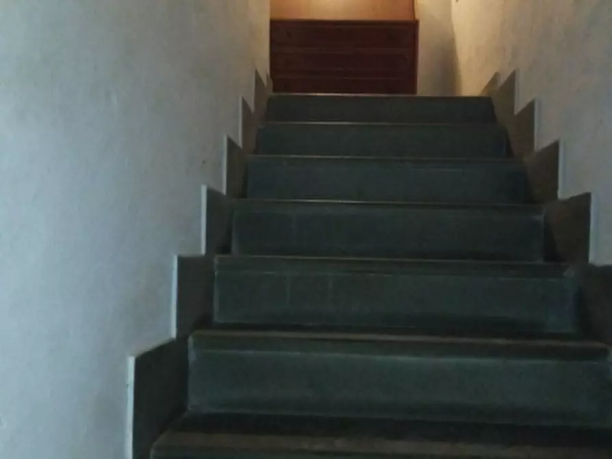 Immagine 12 di Azienda agricola in vendita  in San Piero a Sieve via provinciale a Scarperia E San Piero