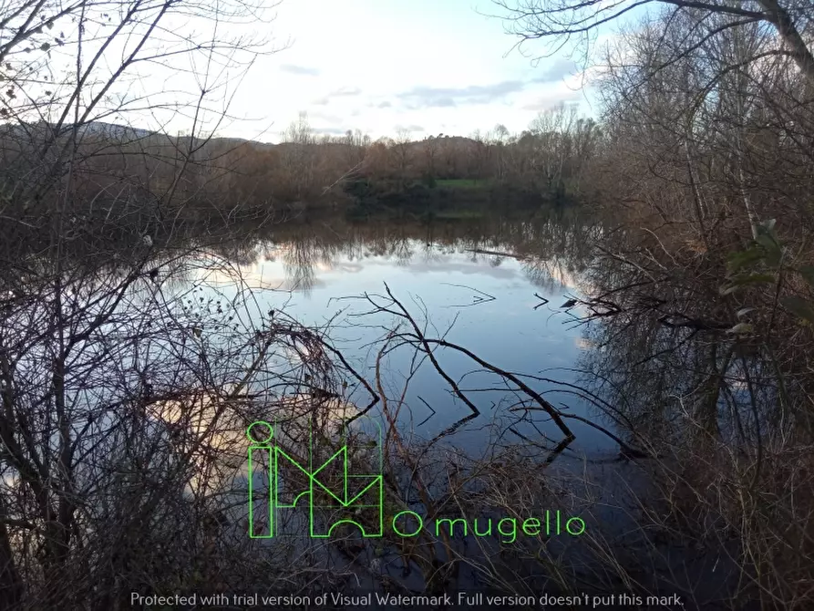 Immagine 13 di Azienda agricola in vendita  in San Piero a Sieve via provinciale a Scarperia E San Piero