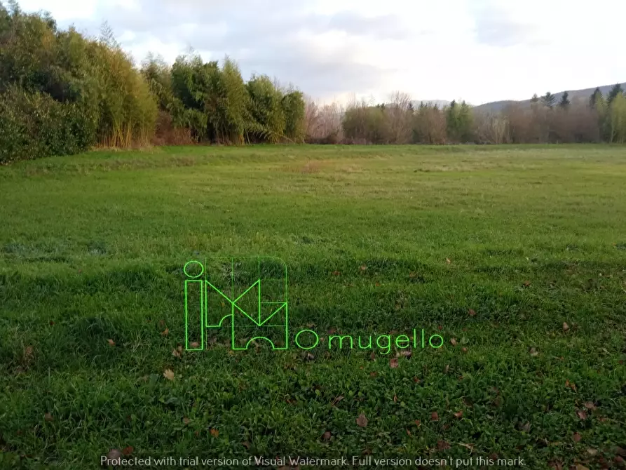 Immagine 19 di Azienda agricola in vendita  in San Piero a Sieve via provinciale a Scarperia E San Piero