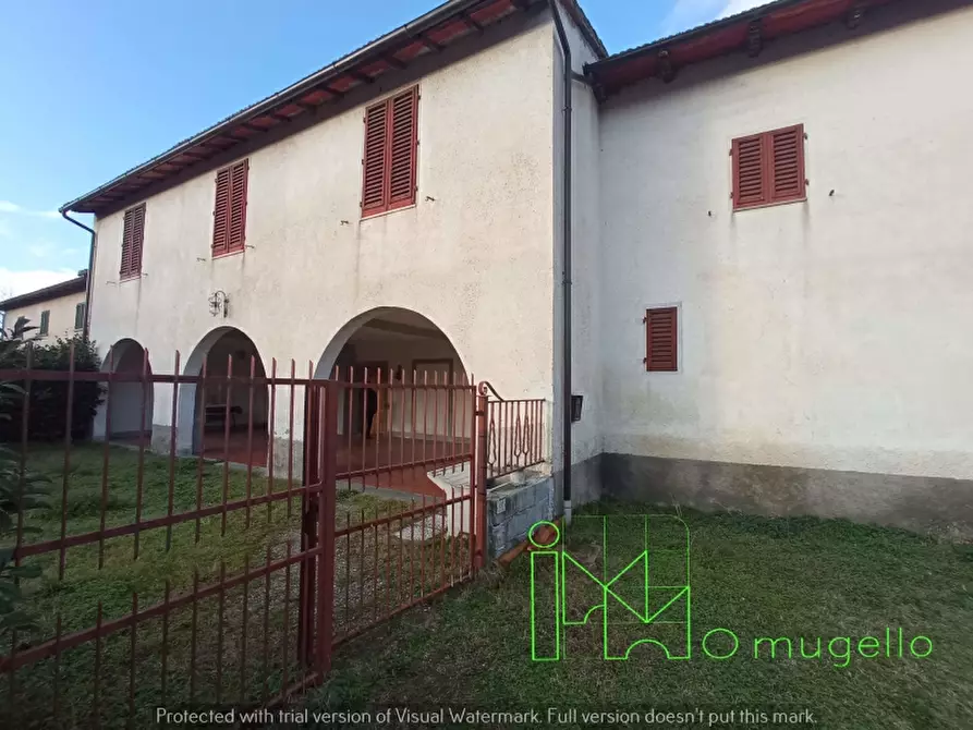 Immagine 4 di Azienda agricola in vendita  in San Piero a Sieve via provinciale a Scarperia E San Piero