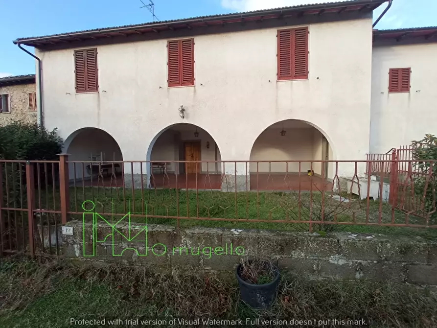 Immagine 5 di Azienda agricola in vendita  in San Piero a Sieve via provinciale a Scarperia E San Piero