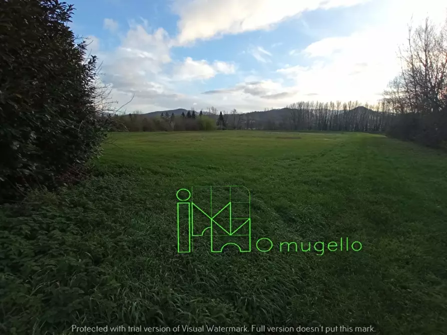 Immagine 6 di Azienda agricola in vendita  in San Piero a Sieve via provinciale a Scarperia E San Piero