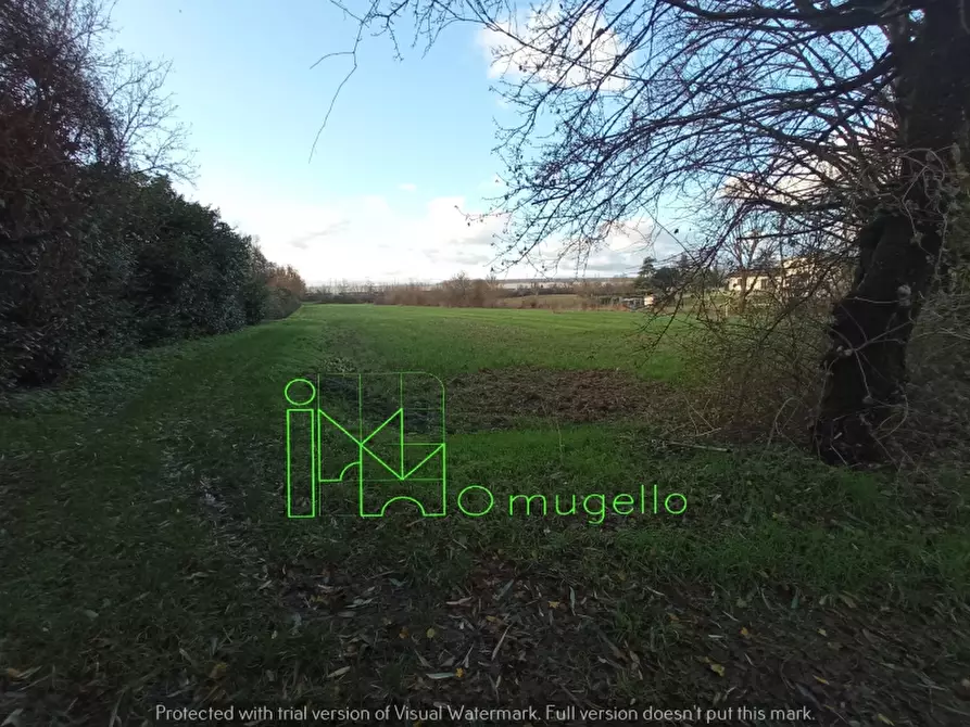 Immagine 7 di Azienda agricola in vendita  in San Piero a Sieve via provinciale a Scarperia E San Piero