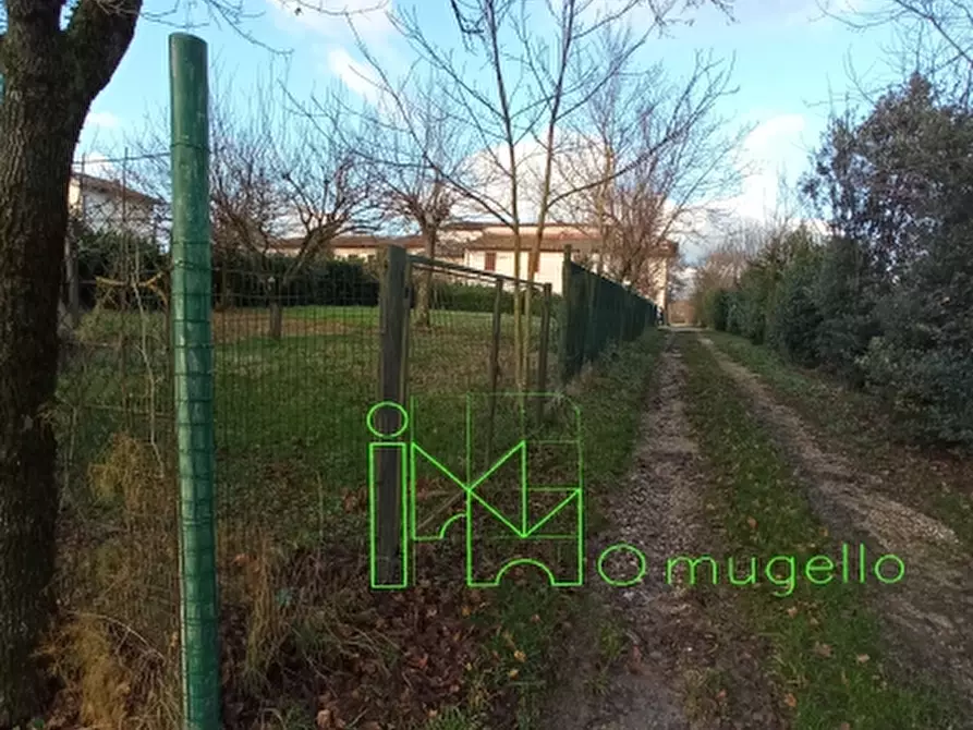 Immagine 8 di Azienda agricola in vendita  in San Piero a Sieve via provinciale a Scarperia E San Piero