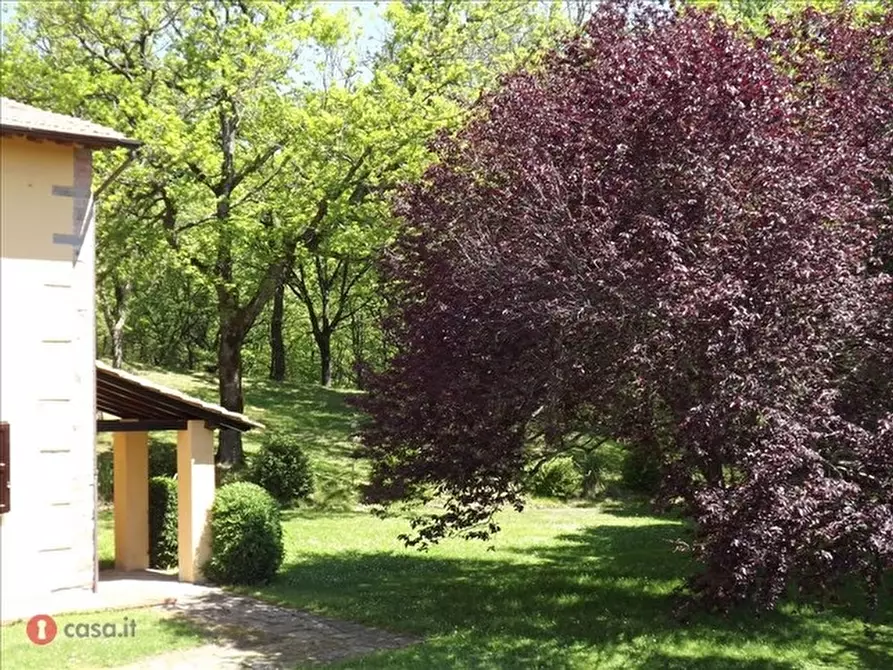 Immagine 13 di Villa in vendita  in galliano a Scarperia E San Piero