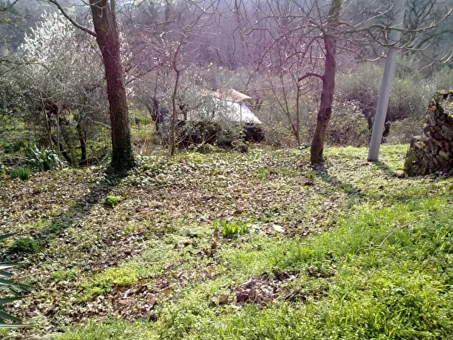 Immagine 7 di Rustico / casale in vendita  in scarperia a Scarperia E San Piero