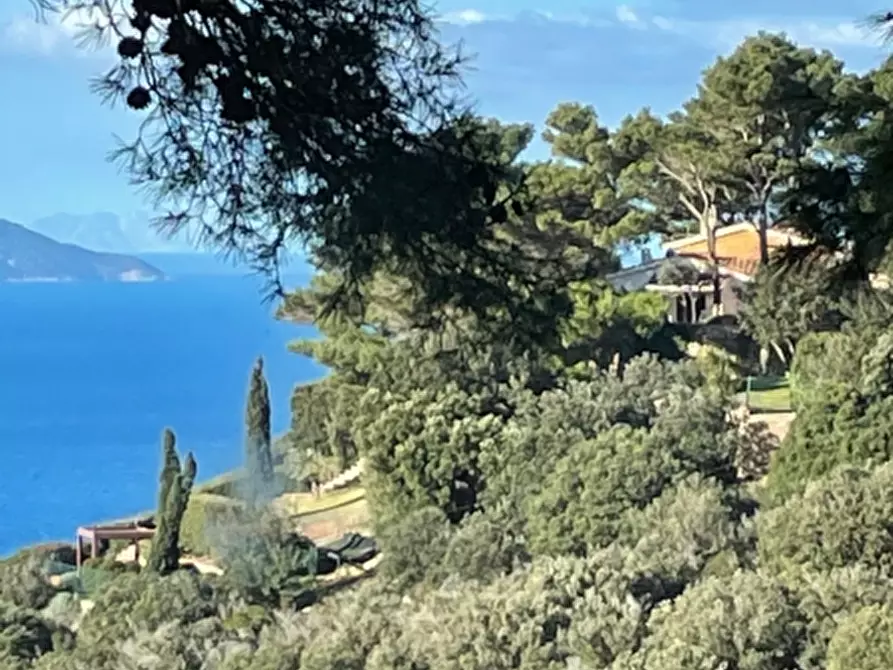 Immagine 24 di Rustico / casale in affitto  in Strada Panoramica Porto S. Stefano snc a Monte Argentario