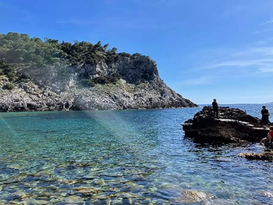 Immagine 26 di Rustico / casale in affitto  in Strada Panoramica Porto S. Stefano snc a Monte Argentario