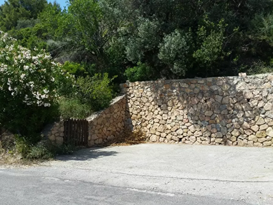 Immagine 15 di Rustico / casale in affitto  in Strada Provinciale Panoramica Porto Santo Stefano snc a Monte Argentario
