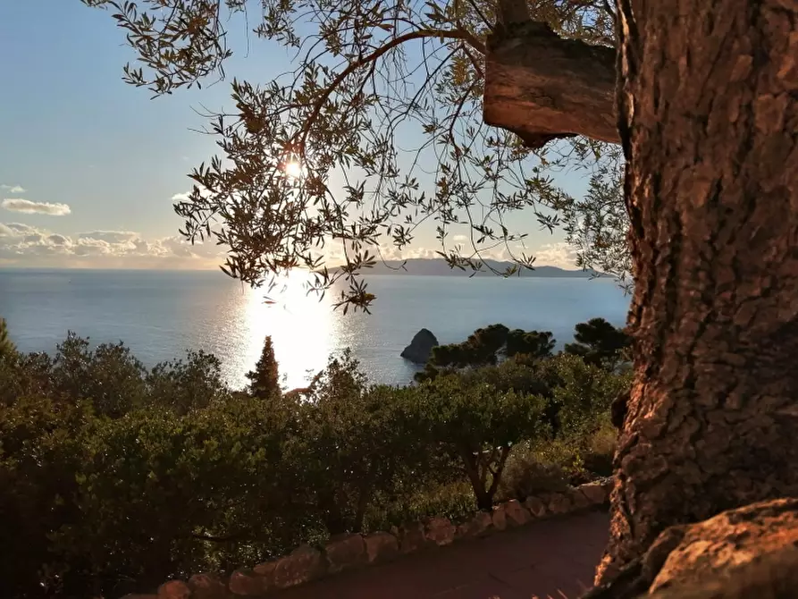 Immagine 13 di Rustico / casale in affitto  in Strada Provinciale Panoramica Porto Santo Stefano snc a Monte Argentario