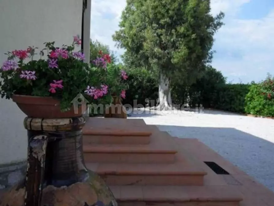 Immagine 2 di Rustico / casale in vendita  in Strada Provinciale 56 di San Donato a Orbetello